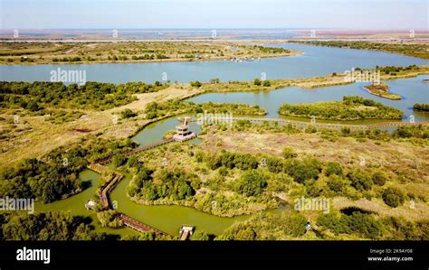 Dongying Yellow River Estuary National Wetland Park: An Oasis of Biodiversity and Tranquility Awaits!