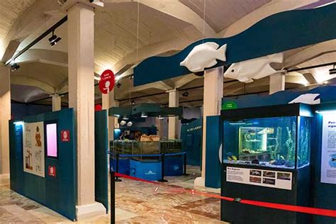 El Museo de la Ciencia y el Agua: Un Fascinating Deep Dive into Scientific Wonders and Aquatic Delights!