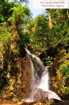 Erin Ijesha Waterfalls: A Refreshing Escape into Nature's Embrace!