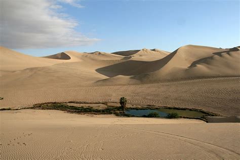 Shapotou Desert Resort: A Thrilling Oasis Where Sand Dunes Meet Modern Fun!