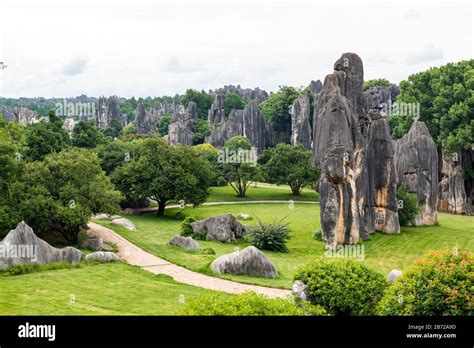 Stone Forest of Daxin A Unique Geological Wonder Filled With Mystery!