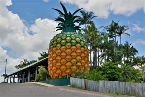 The Big Pineapple: A Sweet and Unexpected Escape in Durban!