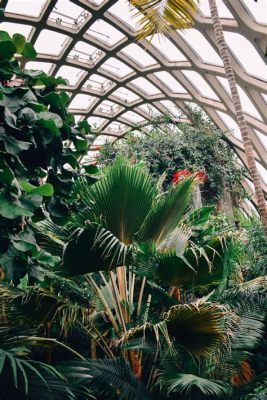 The Denver Botanic Gardens: A Breathtaking Oasis of Flora and Fauna Amidst the Rocky Mountain Majesty!