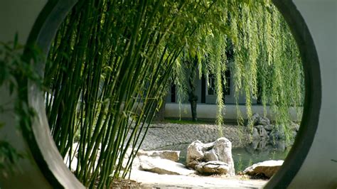 The Purple Bamboo Park: A Serene Escape Immersed in Natural Wonder and Cultural Heritage!