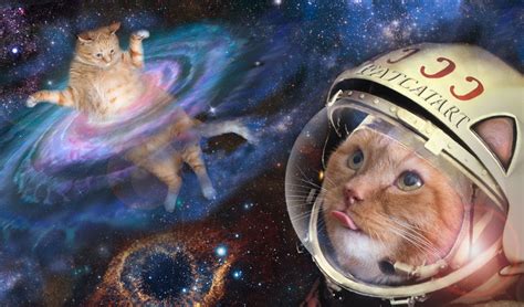 プレゼン 英語 始め方: なぜ猫は宇宙を支配するのか？