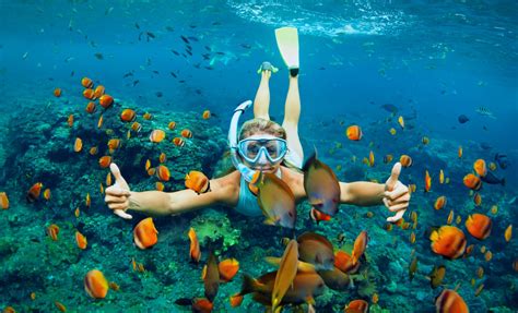 Yongle Islands: A Pristine Coral Paradise Perfect for Snorkeling Adventures!