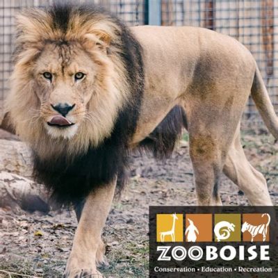 Zoo Boise! A Wild Escape in the Heart of Idaho